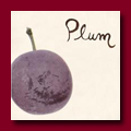 Plum